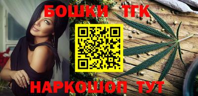 индика Жуковский