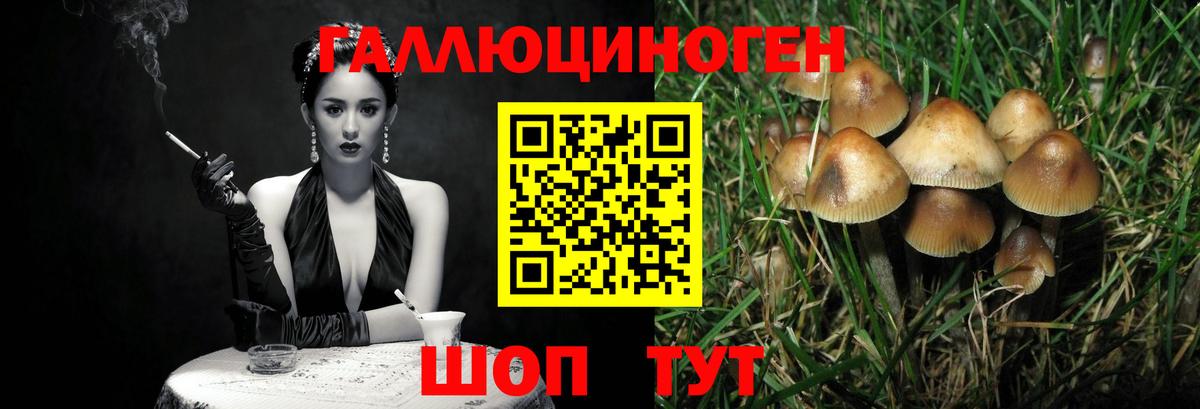 Галлюциногенные грибы Psilocybe  Псилоцибиновые грибы мицелий  закладки  Вход с VPN  Кулебаки 